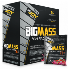 BigJoy Big Mass +GH Factors Go 5000 Gr 50 Saşe Mix