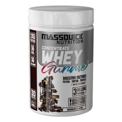 MASSQUİCK GURME WHEY ÇİKOLATA 960 GR