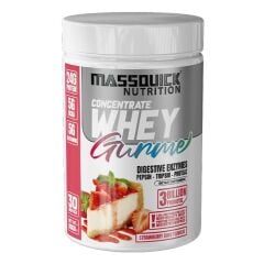 MASSQUİCK GURME WHEY 960 GR